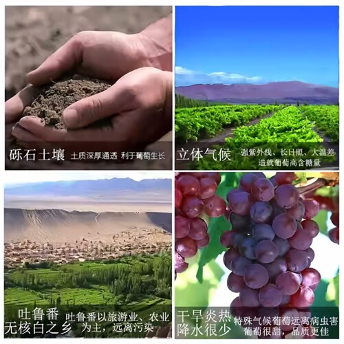 驼铃桃红葡萄酒甜酒红酒10度750ml整箱6瓶新疆吐鲁番葡萄全汁 - 图0