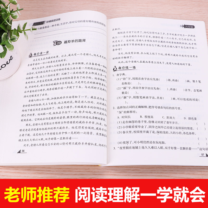 【老师推荐】六年级阅读理解训练题 小学6年级语文每日一练 阶梯训练文言文专项训练书2019年小学生上 上册下册人教版课外阅读同步 - 图1