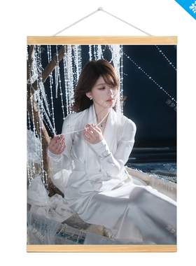 赵露思装饰画海报女明星周边墙画贴画宿舍卧室寝室挂画照片定制