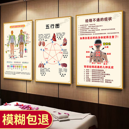 人体五脏面部背诊图中医美容养生海报挂图经络不通原始点淤堵特价 - 图2