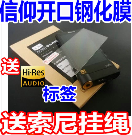 定制索尼NW-ZX100 ZX300A ZX1 WM1A A35