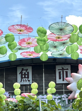 荷叶步步生莲绸布伞舞蹈表演伞