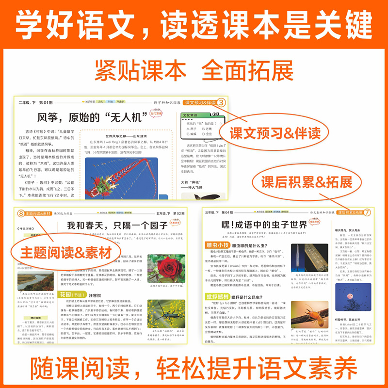 天星教育 大语文知识画报少年报纸杂志2025全年订阅52期小学生一二三四五六年级同步课本课文阅读一期一课课前预习知识拓展