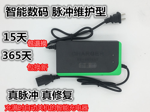 电动车电瓶充电器48V12AH60V20AH72V30AH64V36适用于新日爱玛雅迪 - 图0