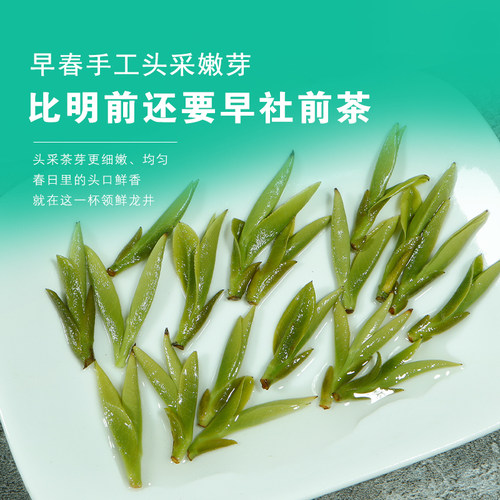 开园头摘龙井2026年新茶明前龙井茶特级绿茶茶250g嫩芽乌牛早 - 图0