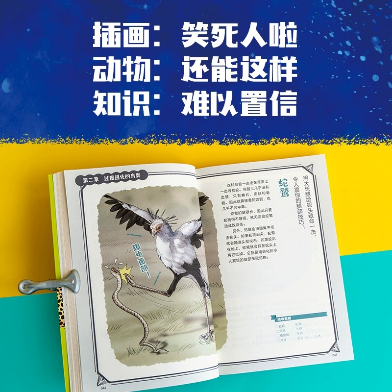 【7-14岁】笑死人的进化5册全套 今泉忠明编著 170万孩子在追更的动物图鉴 搞懂生命进化史 趣味科普图书小学生 中信出版社图书 - 图3