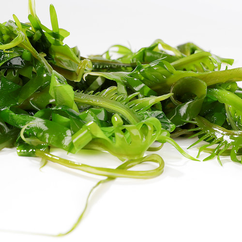 海带芽 300g/袋  裙带菜芽  海白菜海带类 火锅麻辣烫 串串 食材 - 图1