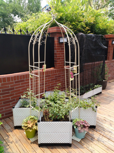 种植箱种植盆花盆黄瓜西红柿阳台种菜菜盆家庭屋顶菜园花箱种菜盆 - 图1