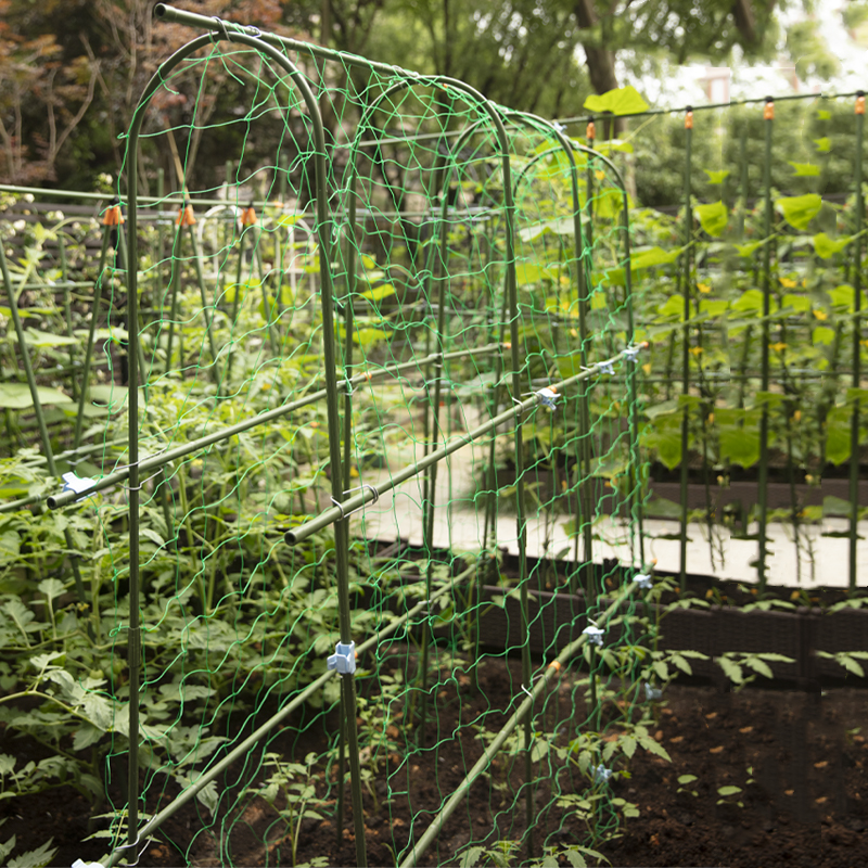 种菜爬藤架黄瓜豆角搭架架子种植葡萄网架芸豆架杆支架支撑杆藤架-图2