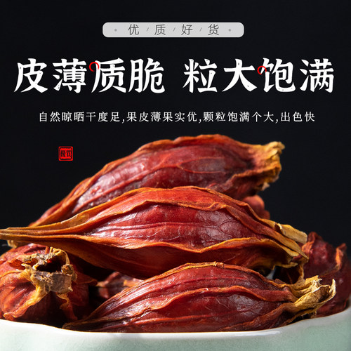 栀子500克 大枝子红栀子黄栀子黄枝子黄果花果香料调料卤肉上色 - 图2