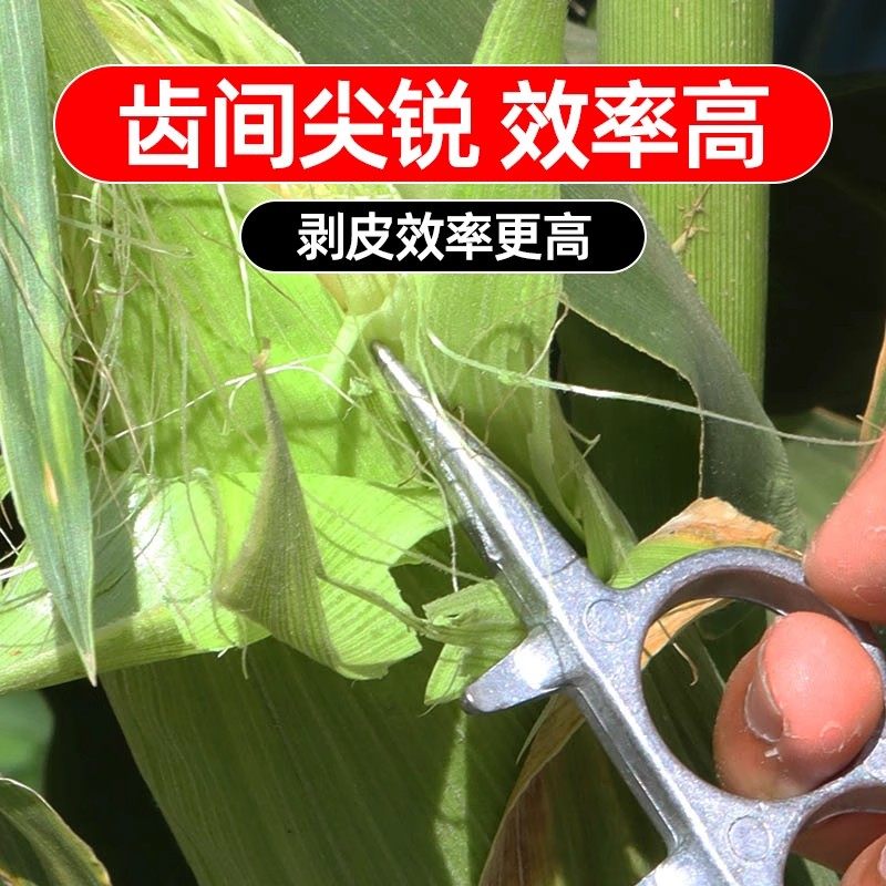 图5