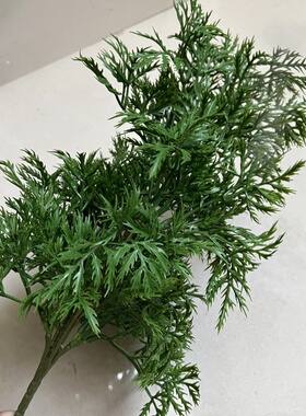 仿真永生草 单支小把福禄桐叶 毛松花盆插花地面造景小绿植
