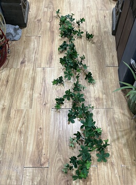 仿真藤条假花藤子规叶装饰墙面遮挡树叶吊顶藤蔓植物缠绕壁挂绿植