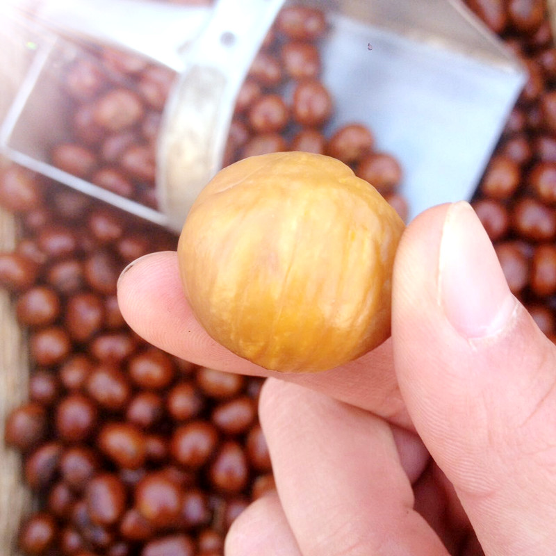 25年糖炒栗子熟迁西板栗仁即食油栗仁正宗新鲜现炒坚果零食香甜糯 - 图2