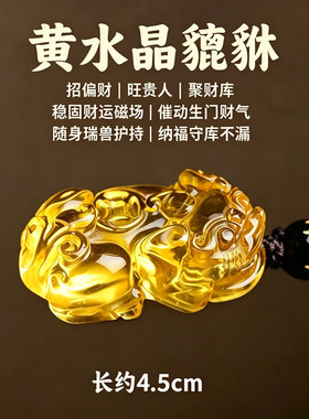 天然白水晶貔貅招财护身吊坠