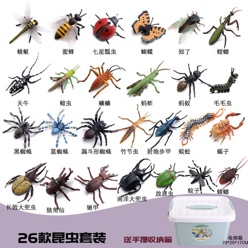 儿童仿真昆虫动物模型蜜蜂蝴蝶蚂蚱蚂蚁螳螂七星瓢虫蜘蛛认知玩具 - 图1