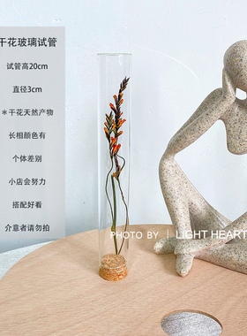 植物标本试管干花家居摆件装饰