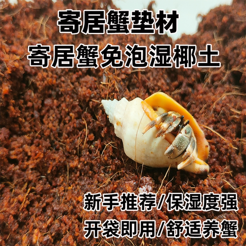 寄居蟹专用沙垫材白沙珊瑚沙菲律宾沙贝壳沙免洗砂寄居蟹专用椰土 - 图0