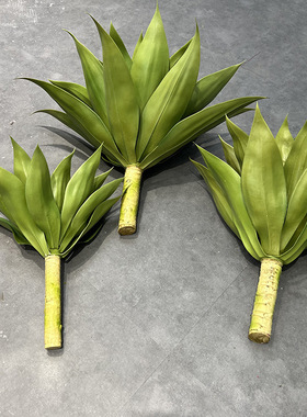 仿真龙舌兰假绿植北欧热带沙漠