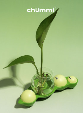 chummi 关心植物系列 水培花器办公室绿植家居摆件创意可爱礼物