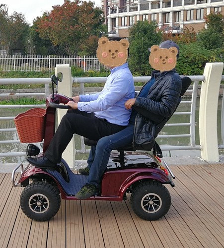 出口欧美强劲力双座老年代步车四轮电动车老人代步车残疾车助力车 - 图0