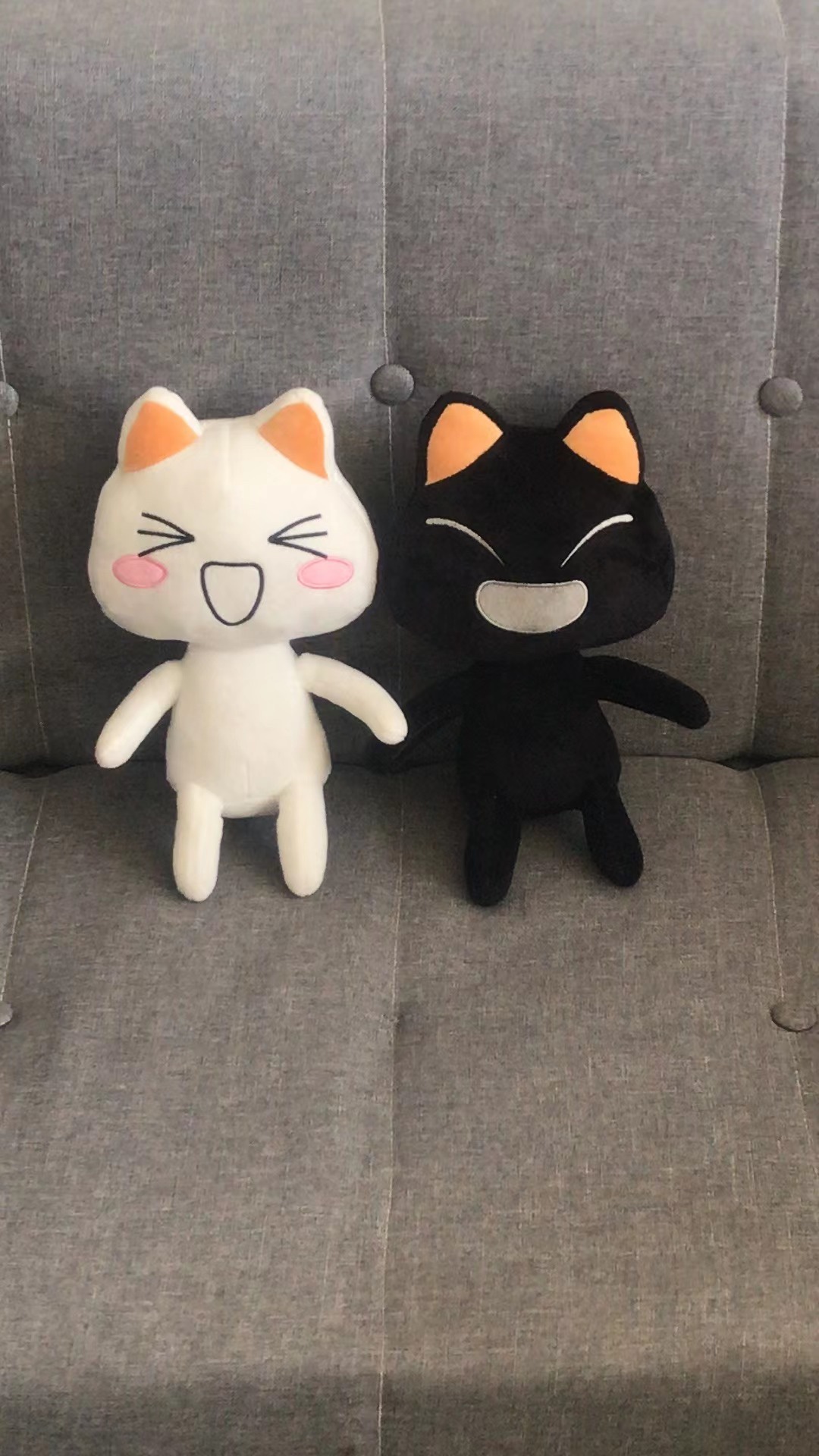 跨境新品Toro Inoue plush多罗猫白猫黑猫毛绒玩具公仔生日礼物 - 图1