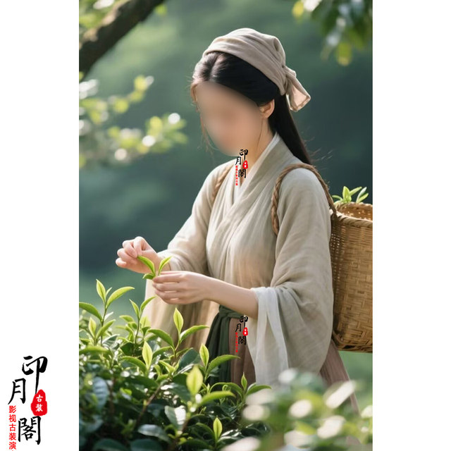 Ancient costume of tea-picking girl among ancient medical girls