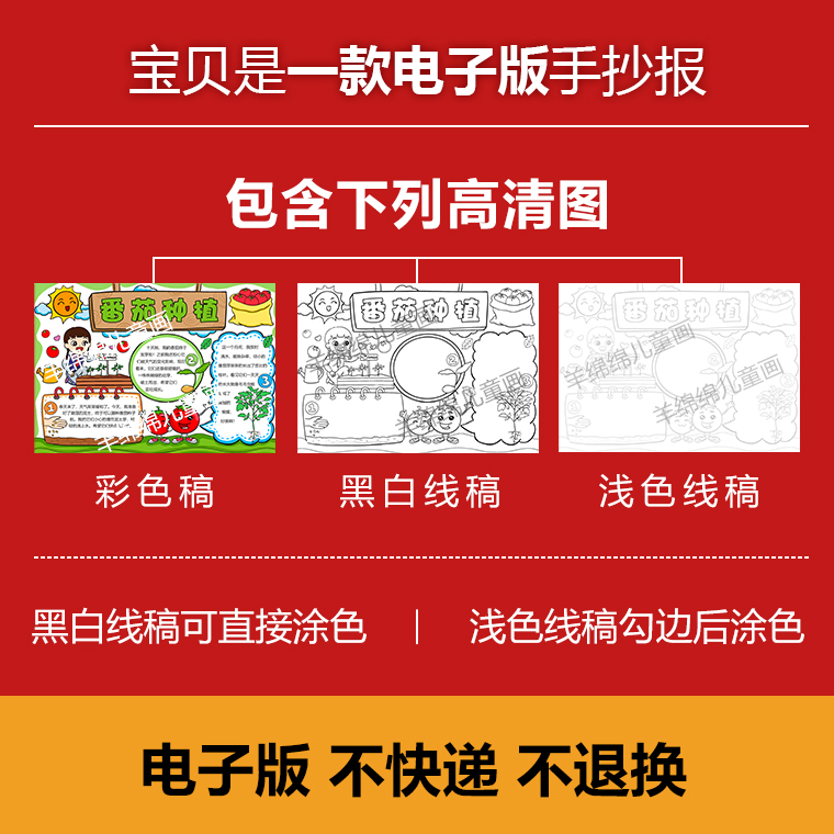 番茄西红柿种植生长记录手抄报电子模版线稿打印自然植物观察笔记 - 图0