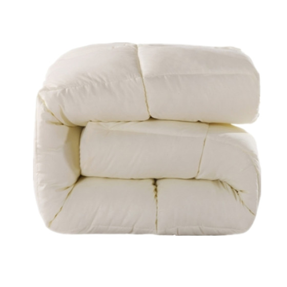 Winter quilt thickened warm winter quilt quilt core