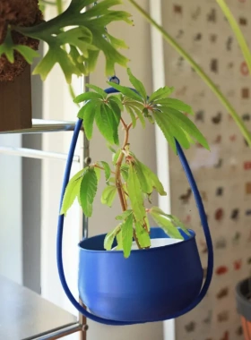 现代简约阳台室内外吊挂花篮