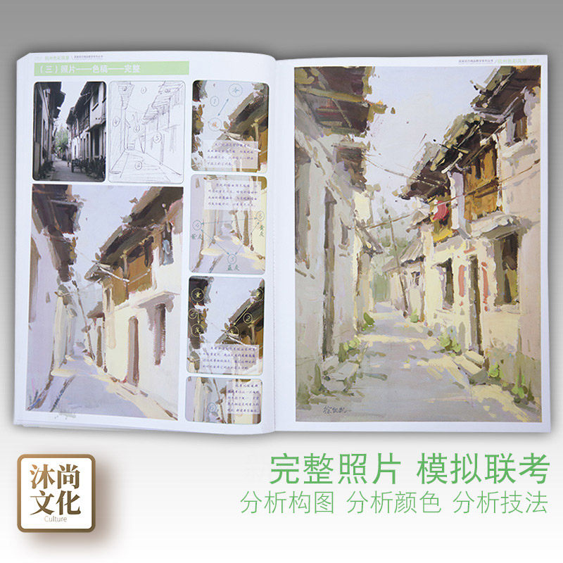 杭州色彩风景教学典籍国美励志张品水粉照片画临摹大师美术生范画书色调基础入门高考联考校考范本书籍绘画画册本手绘教程教学教材