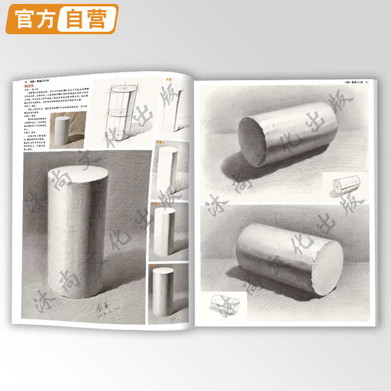 对路素描几何体蔡兼石膏静物形体照片临摹范本范画教学结构基础儿童入门画册本卡初学初级图片书籍自学国美组合美术绘画教程教材书-图2