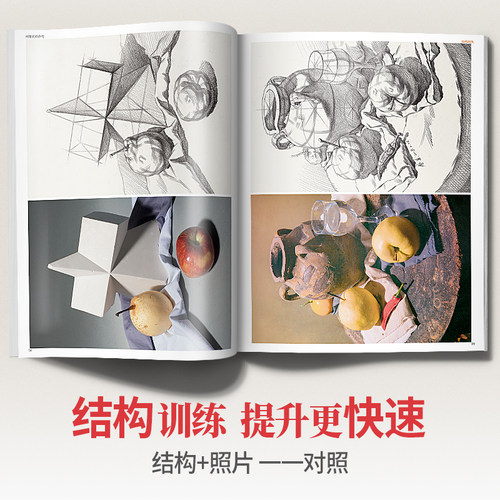 对路素描静物单体组合结构照片画临摹范本基础写生入门考级高考联考教学国美素材几何体蔡兼美术绘画画册本初级书籍教程中考教材书 - 图1