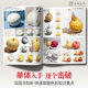 Protagonist Color Still Life Courseware 2 Liu Gang Gome Gouache