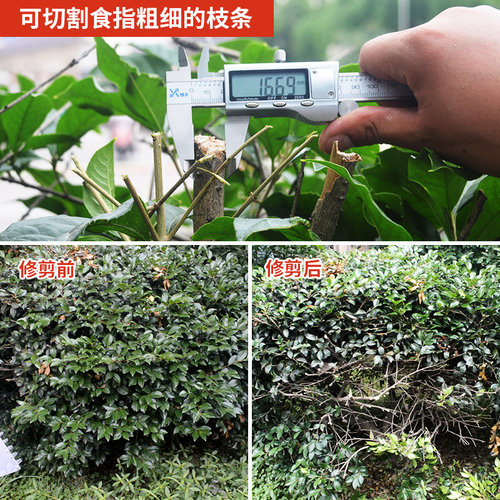 托马斯充电式粗枝篱笆剪电动绿篱机修枝机茶叶修剪机剪草园林工具 - 图1