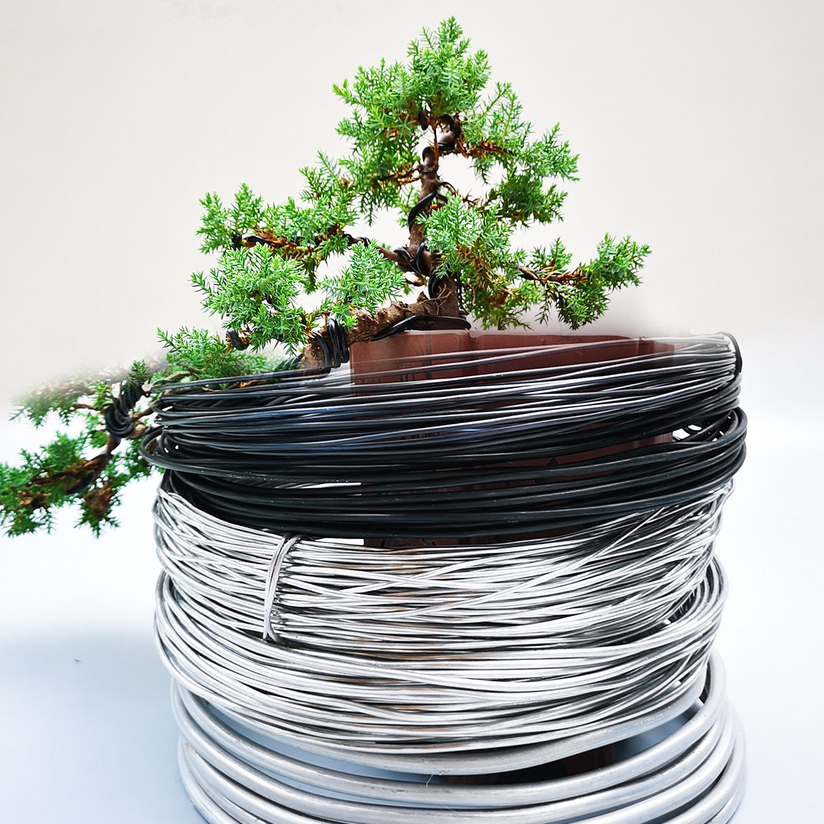 盆景铁丝造型铝丝定型铝线绑花蟠扎用丝园艺植物盆栽软黑吕铝丝线,淘宝优惠券,粉丝福利购,淘宝优惠卷