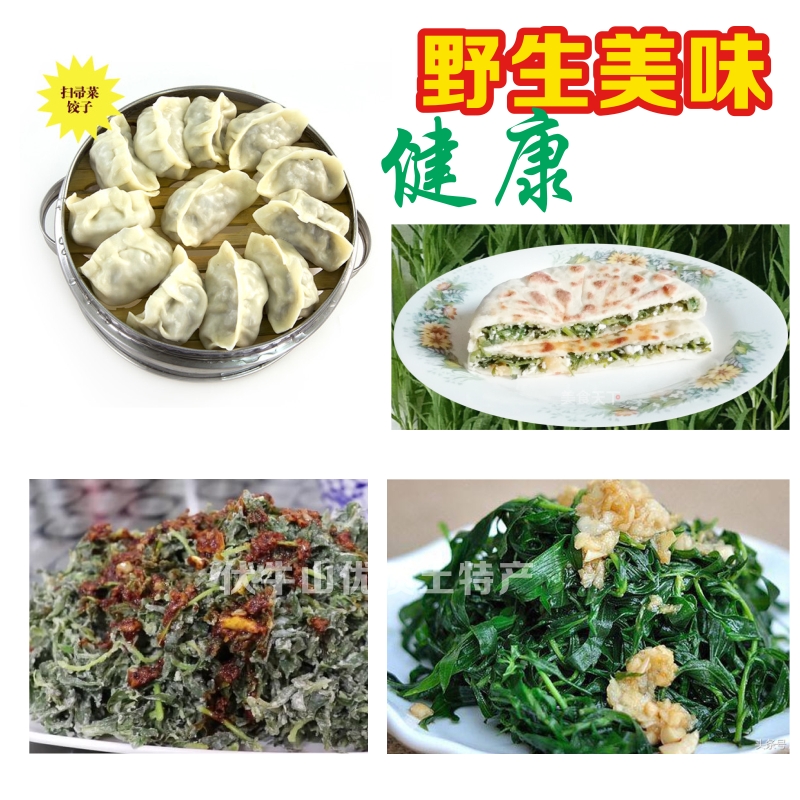 野生美味蒸菜扫帚苗菜河南新鲜农家菜凉拌家常野菜3斤装现货包邮