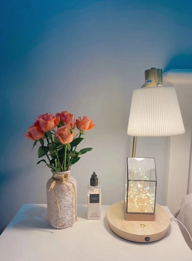 实木几何玻璃灯罩火树银花玻璃花房玻璃罩装饰台灯LED夜灯