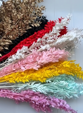 永生花富贵叶DIY材料干花辅材花艺花束搭配装饰花摄影道具装饰