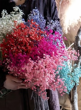 永生花满天星干花手工花束DIY材料婚庆布置花材家居桌面装饰花束