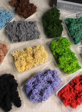 永生花苔藓干花材料装饰相框苔藓100克盒装DIY手工花盒微景观装饰