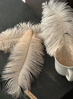 手工鸵鸟大羽毛亮片插枝配件拍照道具DIY装饰花店插花花束羽毛花