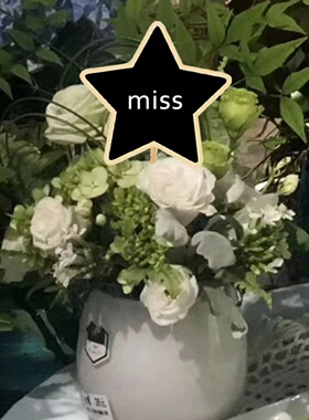 田园风花盆小黑板多款式鲜花装饰留言牌多肉植物木质小插牌标语牌