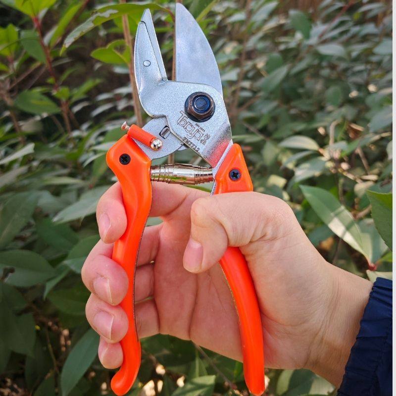 陶雅修枝剪园林铁砧剪强力果园园艺葡萄阳光玫瑰藤蔓剪冬剪不累手,淘宝优惠券,粉丝福利购,淘宝优惠卷