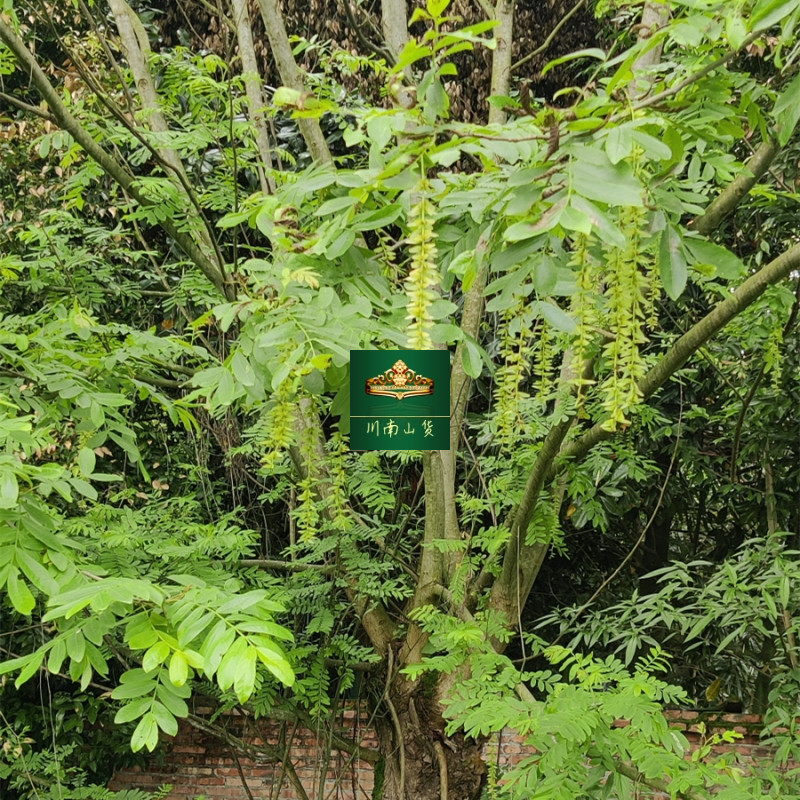 图4