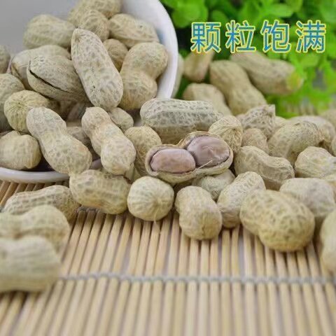 福建特产龙岩花生佰优蒜香咸干五香花生180g休闲零食坚果炒货包邮 - 图3
