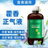 Huoxiangzheng Water Beasts используют Huoxiang Zhengqi жидкость жидкость, лекарство от крупного рогатого скота, чтобы облегчить тепло и тепловой удар Huo Xiang Zhengqi