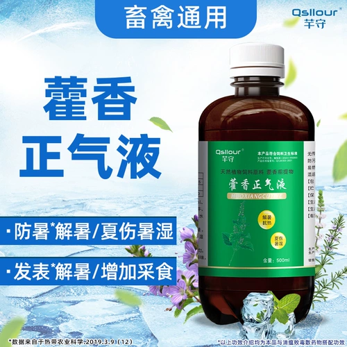 Huoxiangzheng Water Beasts используют Huoxiang Zhengqi жидкость жидкость, лекарство от крупного рогатого скота, чтобы облегчить тепло и тепловой удар Huo Xiang Zhengqi