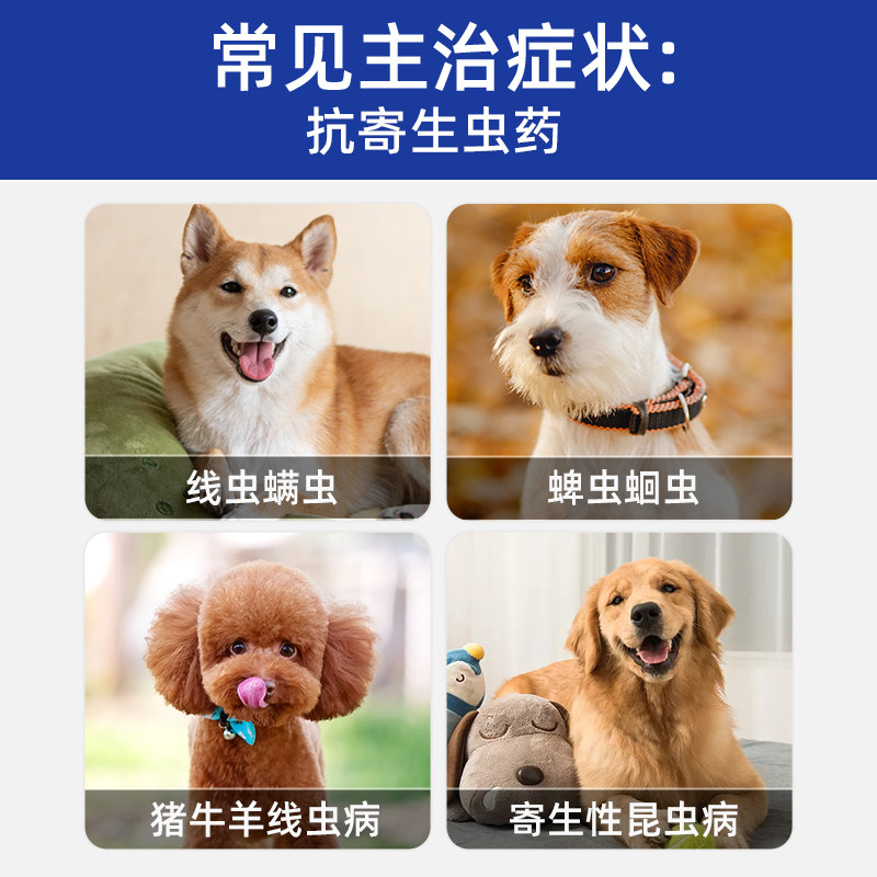 伊维菌素片狗用螨虫疥螨跳蚤蠕形螨狗狗螨虫专用药宠物兽用驱虫药,淘宝优惠券,粉丝福利购,淘宝优惠卷