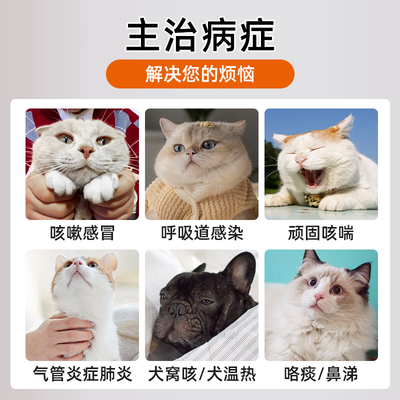 宠物手持雾化器猫咪雾化药狗狗猫鼻支雾化专用药感冒肺炎犬窝咳嗽 - 图1